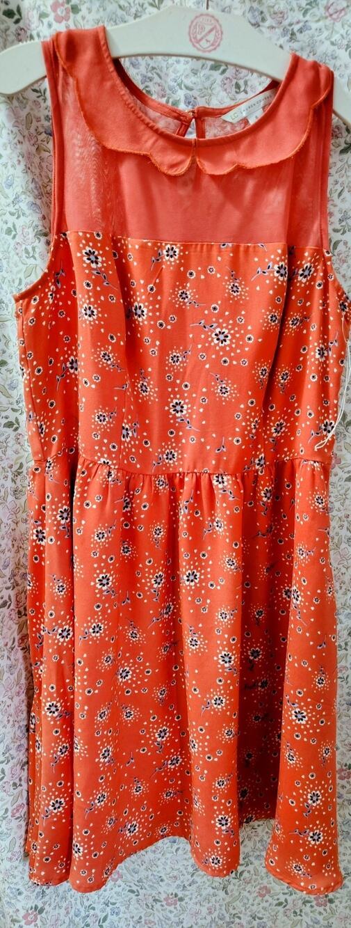 Lauren Conrad dress featuring a peter pan collar, Coral, Floral, NWOT